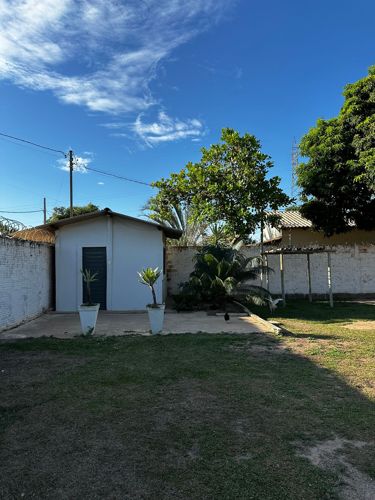 Unidade Unidade Masculina